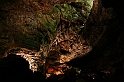 Kanary_2010 295